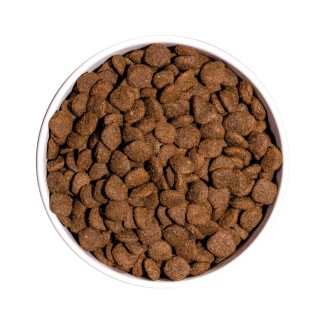 OWNAT ULTRA MEDIUM STERILIZED