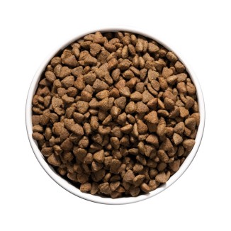 OWNAT CARE HYPOALLERGENIC