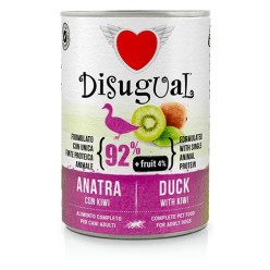 DISUGUAL FRUIT PATO CON KIWI