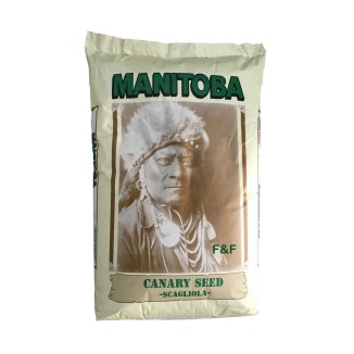 Manitoba Alpiste Canada Extra