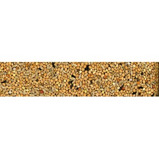 Manitoba Diamantine