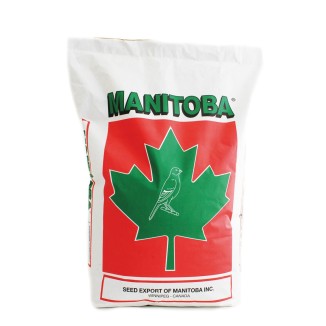 Manitoba Diamantine