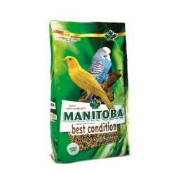 Manitoba Mixtura de la salud Best Condition