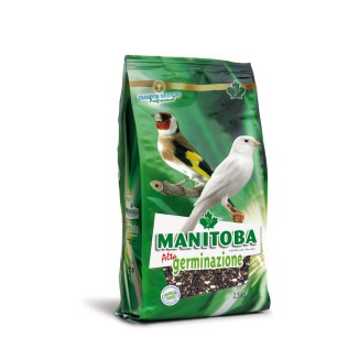 Manitoba Mixtura Alta Germinación