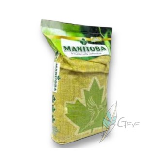 Manitoba Mixtura Germinacion Speed 24  15kg