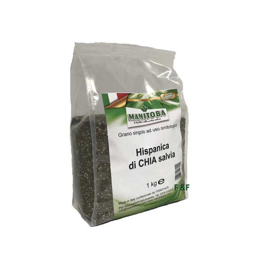 Chia Manitoba