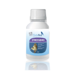 Fortebird Stressbird