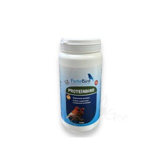 Fortebird Proteinbird