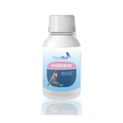 Fortebird Hydrabird