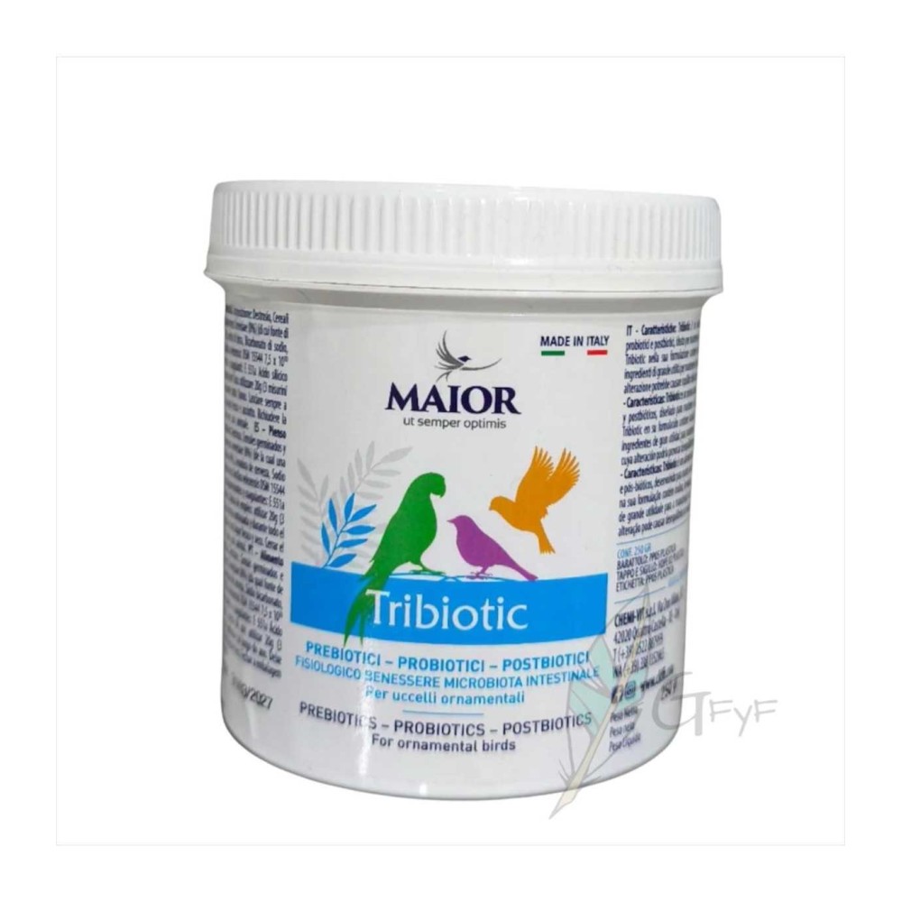 Chemi Vit Tribiotic
