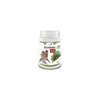Fortebird Encelador Natur