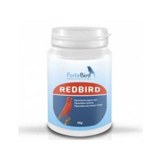 FORTEBIRD  REDBIRD