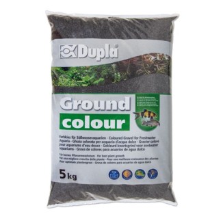 DUPLAS GROUND COLOUR BLAK STAR