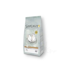 Papilla Blanca Serinus