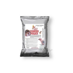Papilla Starter Power Ornizin