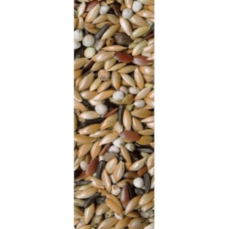 Jarad Premifood mixtura energy no dore