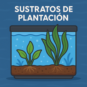 Sustratos de plantación