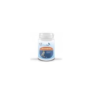 Vitaminas y Complementos Alimenticios