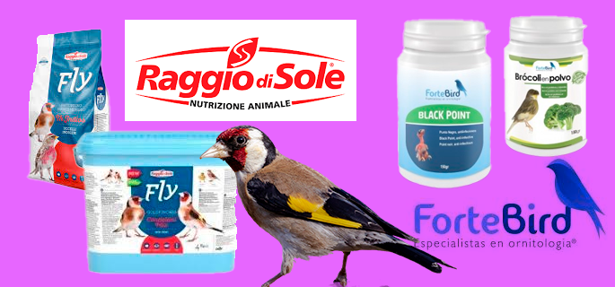 Alimentación para pájaros