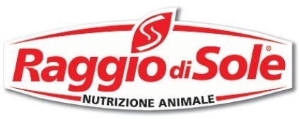 RAGGIO DI SOLE