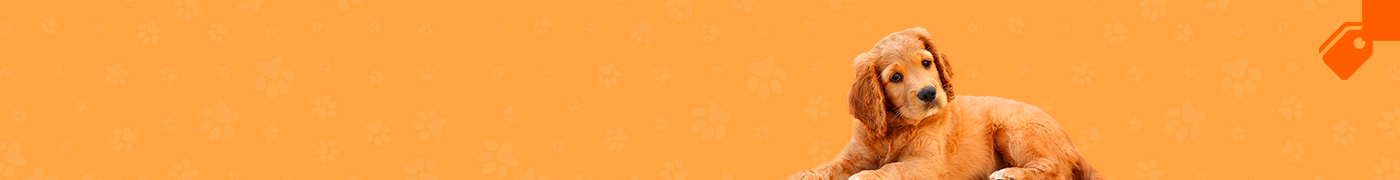 cms-banner-1.jpg